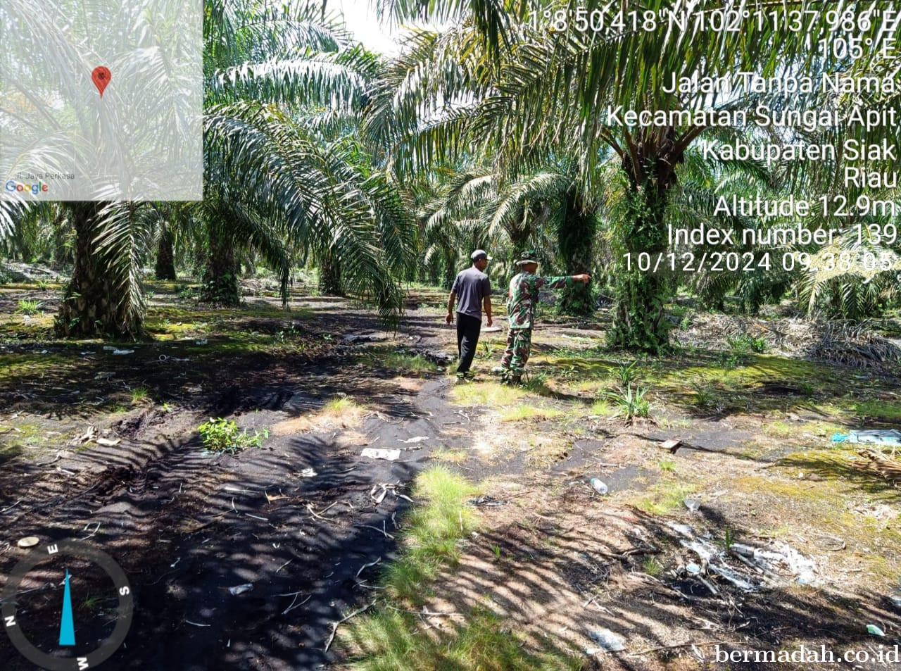 Penanggulangan Karhutla di Wilayah Koramil 02/Sungai Apit Selasa 10 Desember