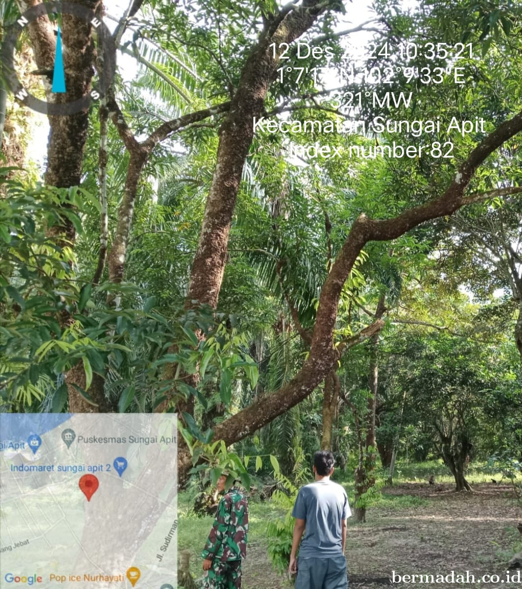 Penanggulangan Karhutla di Wilayah Koramil 02/Sungai Apit, Kamis 12 Desember