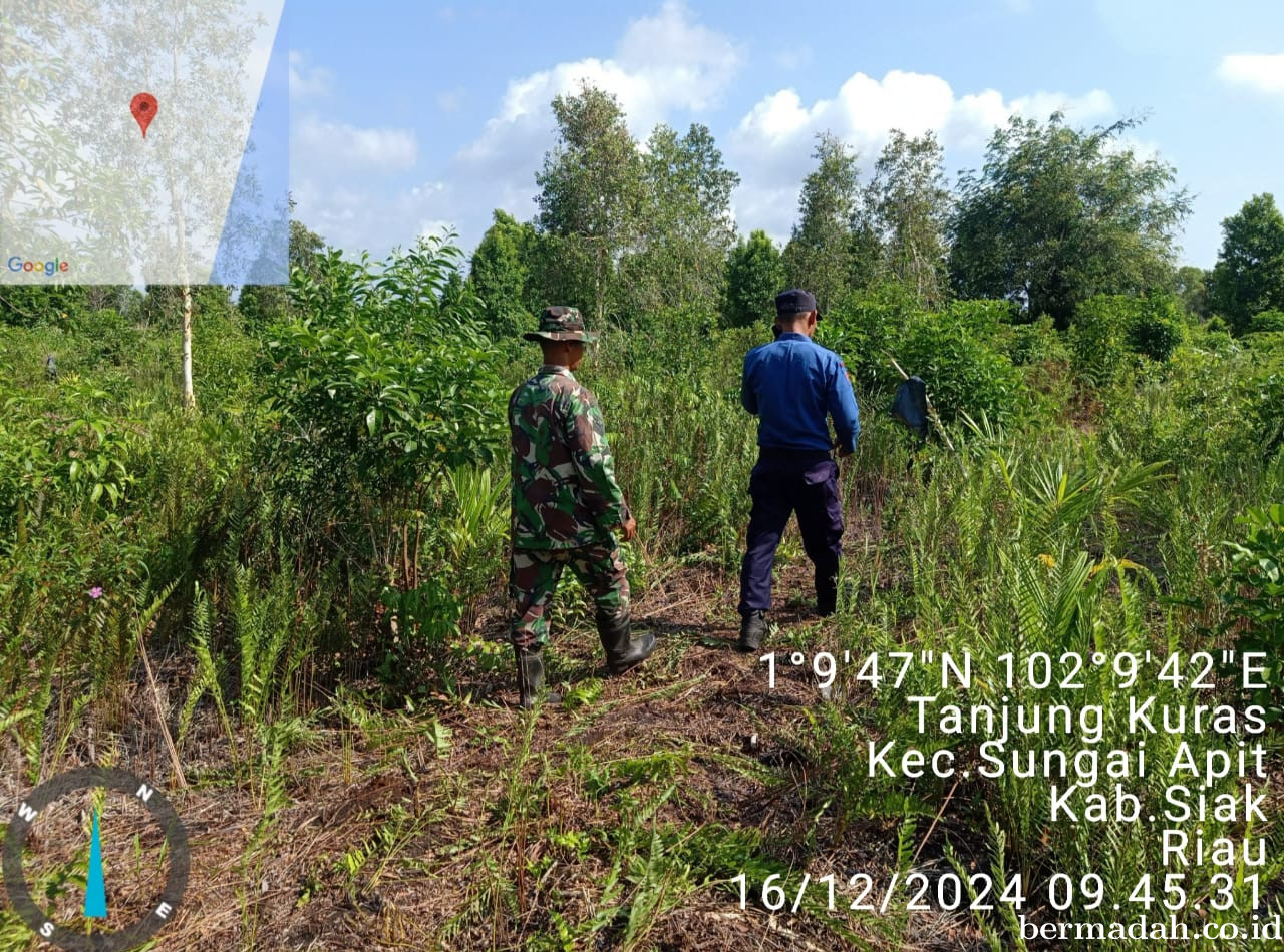 Penanggulangan Karhutla di Wilayah Koramil 02/Sungai Apit Senin 16 Desember