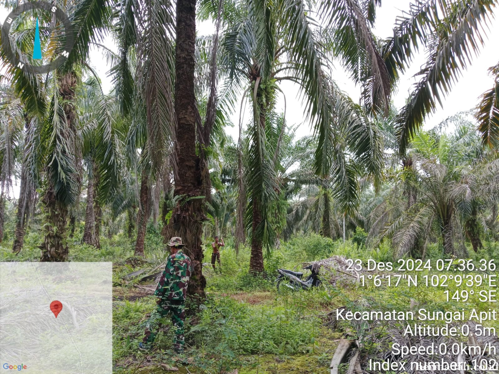 Penanggulangan Karhutla di Wilayah Koramil 02/Sungai Apit Senin 23 Desember