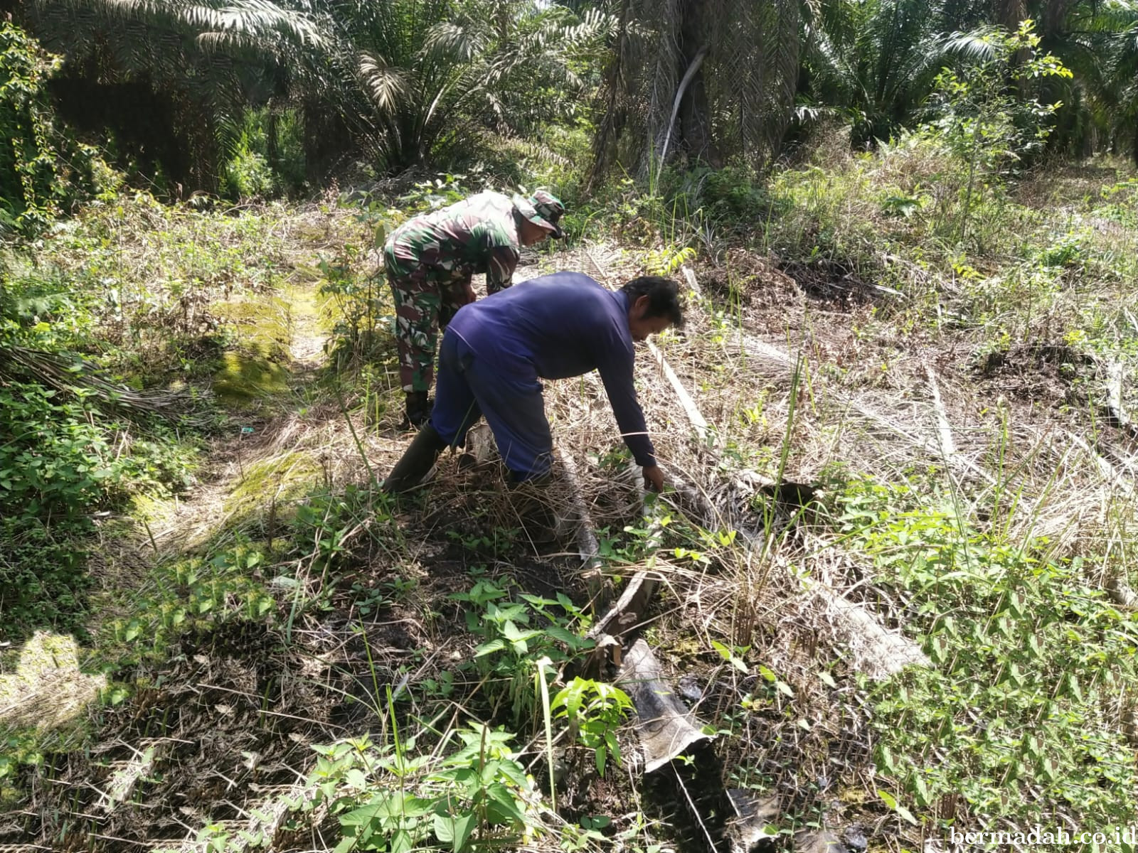 Penanggulangan Karhutla di Wilayah Koramil 02/Sungai Apit Selasa 24 Desember