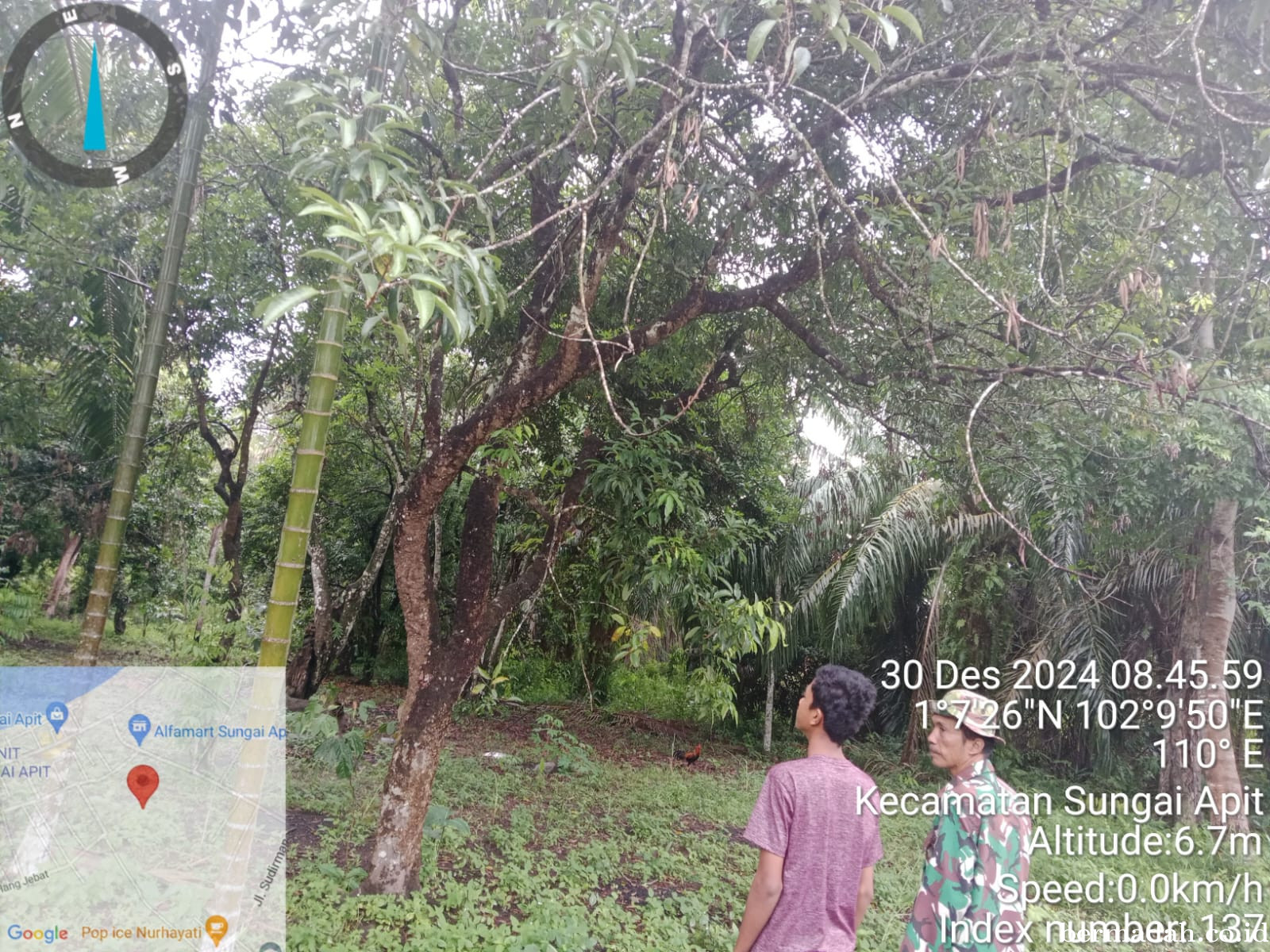 Penanggulangan Karhutla di Wilayah Koramil 02/Sungai Apit Senin 30 Desember