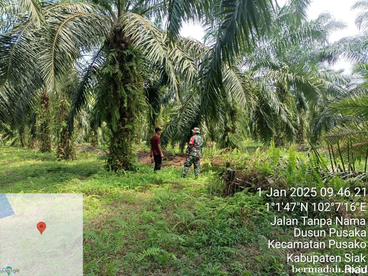 Penanggulangan Karhutla di Wilayah Koramil 02/Sungai Apit, Rabu 1 Januari