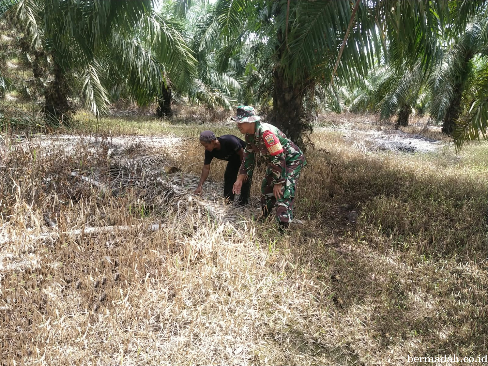 Penanggulangan Karhutla di *Wilayah Koramil 02/Sungai Apit Jumat tanggal 03 Januari