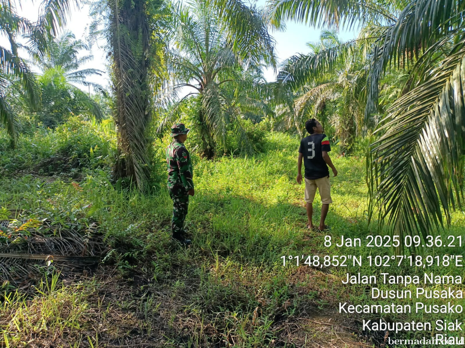 Penanggulangan Karhutla di Wilayah Koramil 02/Sungai Apit, Rabu 8 Januari