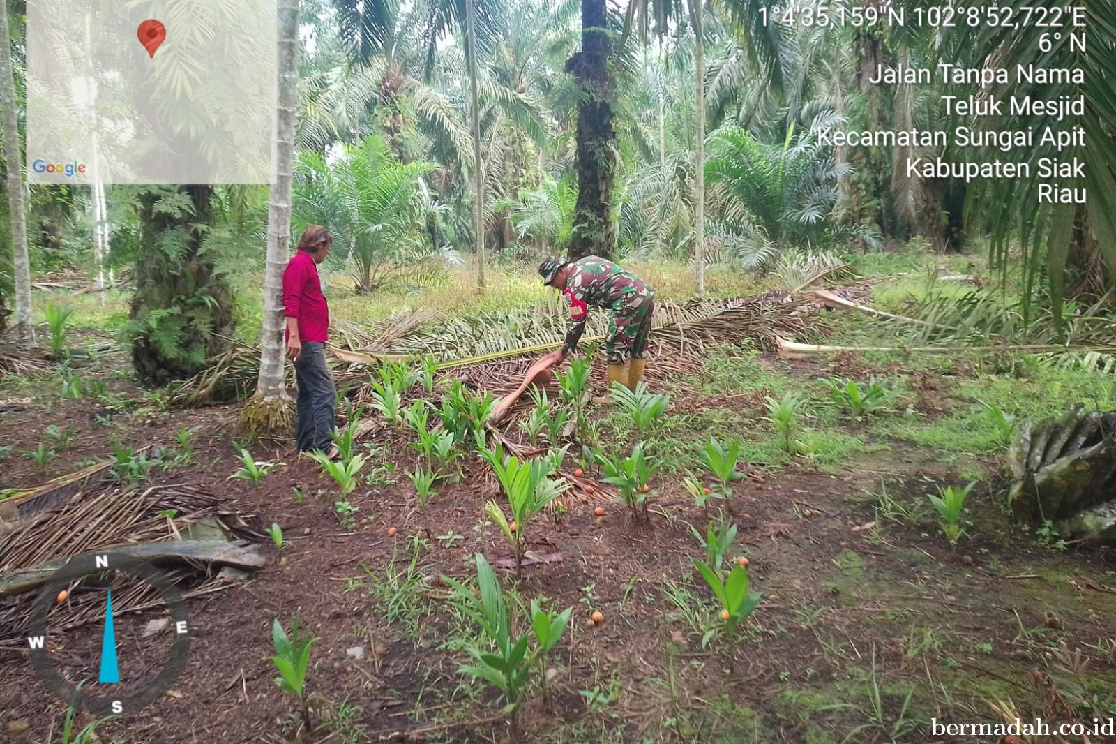 Penanggulangan Karhutla di Wilayah Koramil 02/Sungai Apit Jumat 10 Januari