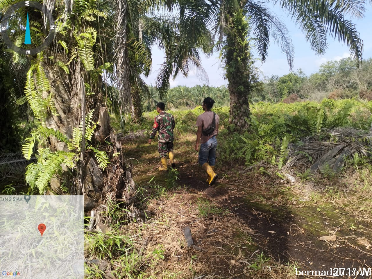 Penanggulangan Karhutla di Wilayah Koramil 02/Sungai Apit, Sabtu 11 Januari