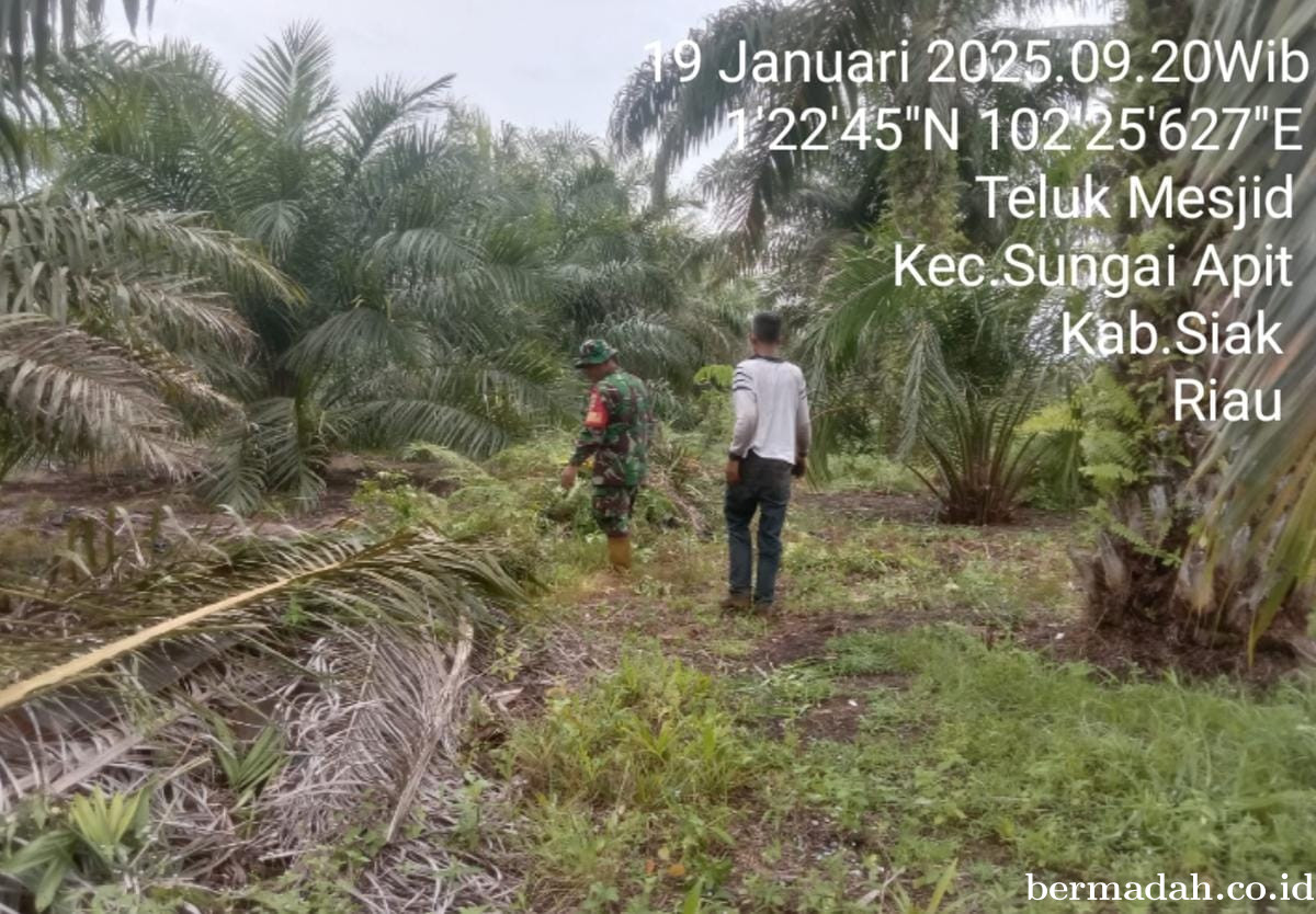 Penanggulangan Karhutla di Wilayah Koramil 02/Sungai Apit, Minggu 19 Januari