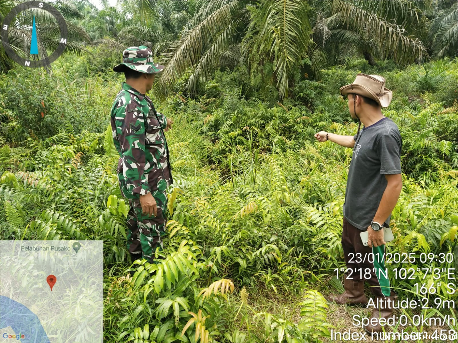 Penanggulangan Karhutla di Wilayah Koramil 02/Sungai Apit Kamis 23 Januari