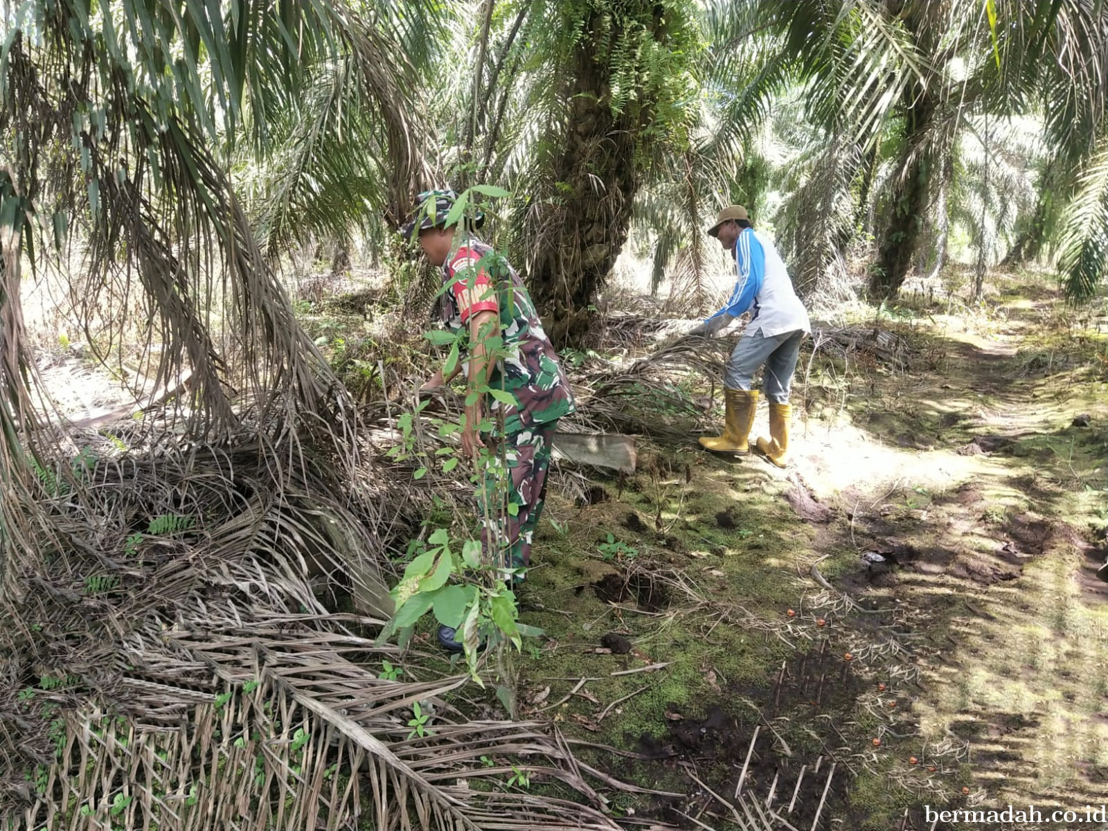 Penanggulangan Karhutla di Wilayah Koramil 02/Sungai Apit, Minggu 26 Januari