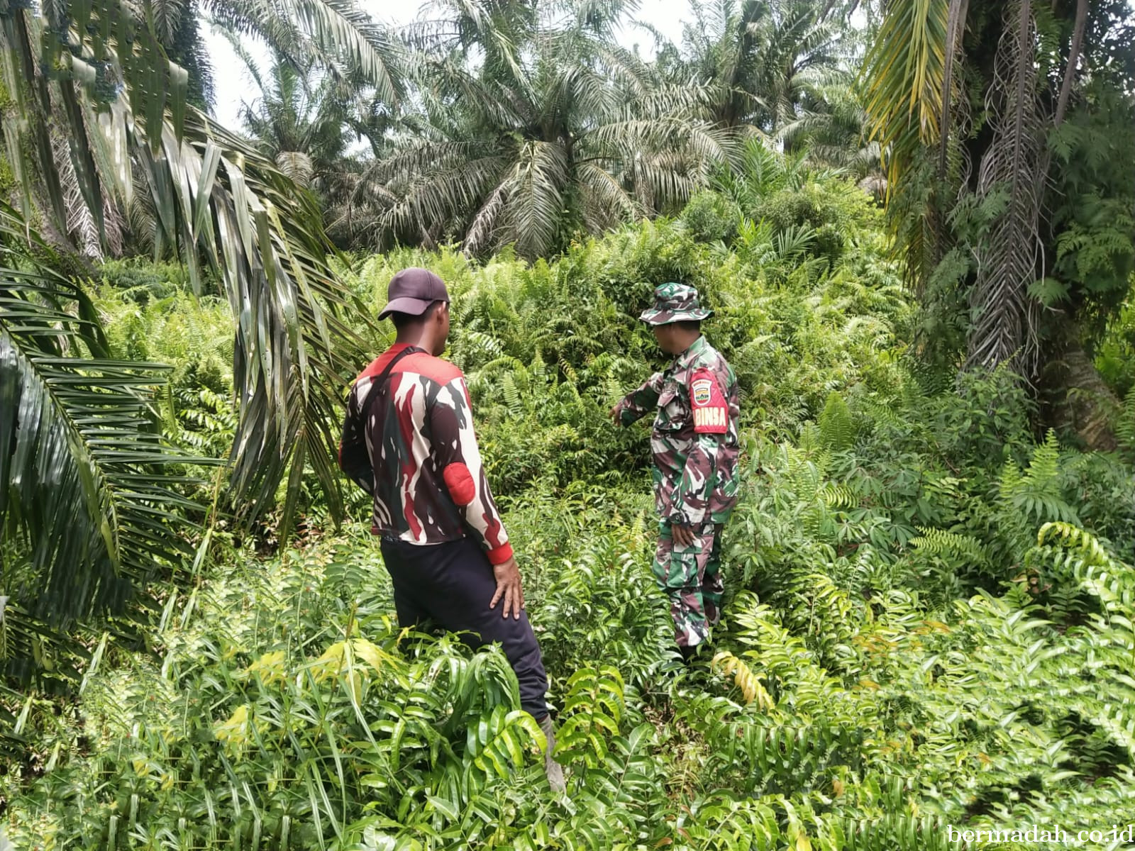Penanggulangan Karhutla di Wilayah Koramil 02/Sungai Apit Rabu 29 Januari