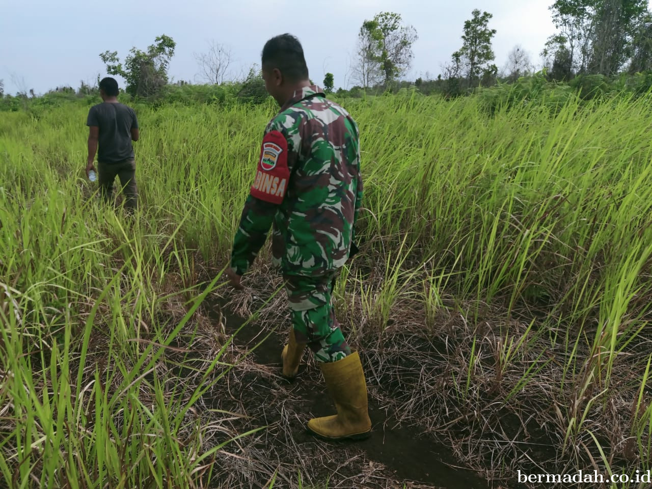 Penanggulangan Karhutla di Wilayah Koramil 02/Sungai Apit Sabtu 1 Februari