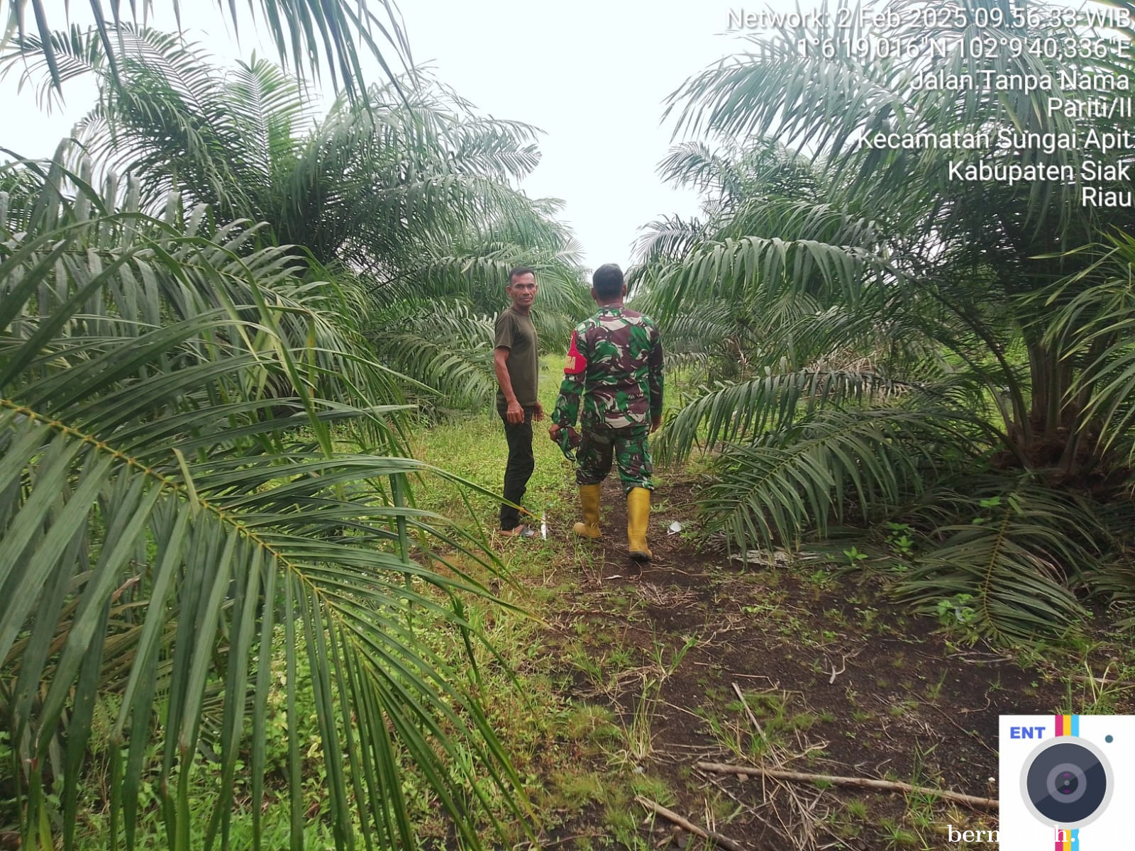 Penanggulangan Karhutla di Wilayah Koramil 02/Sungai Apit Minggu 2 Februari