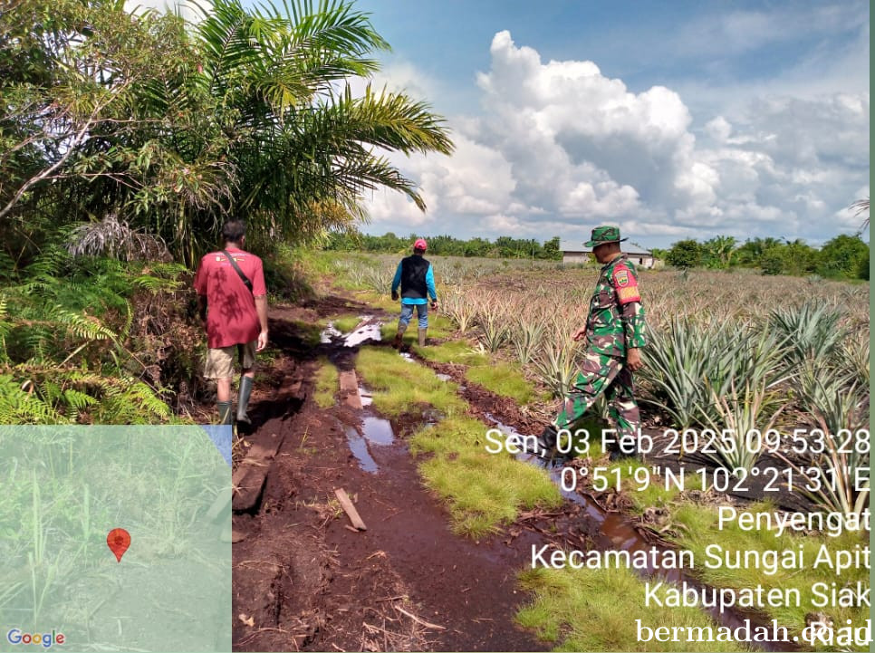 Penanggulangan Karhutla di Wilayah Koramil 02/Sungai Apit Senin 3 Februari