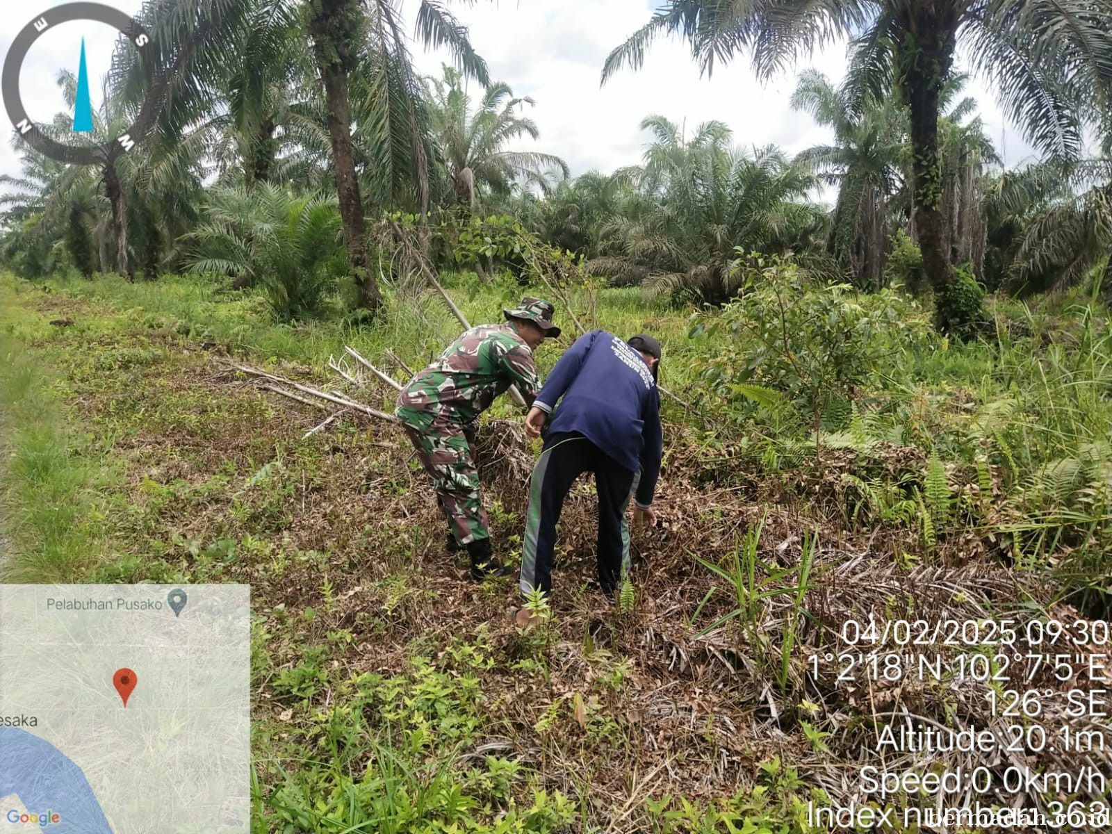 Penanggulangan Karhutla di Wilayah Koramil 02/Sungai Apit Selasa 4 Februari