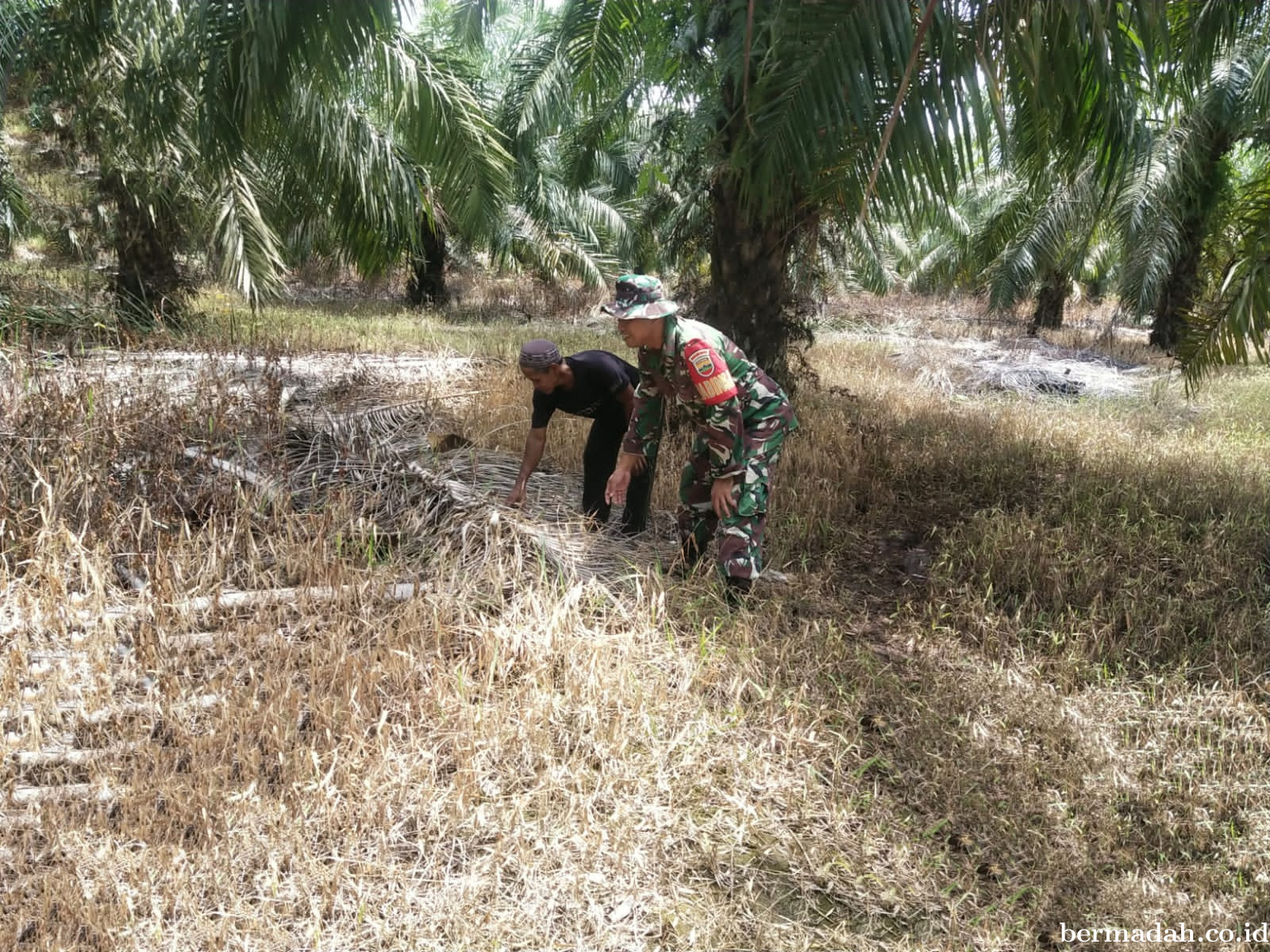 Penanggulangan Karhutla di Wilayah Koramil 02/Sungai Apit Kamis 6 Februari