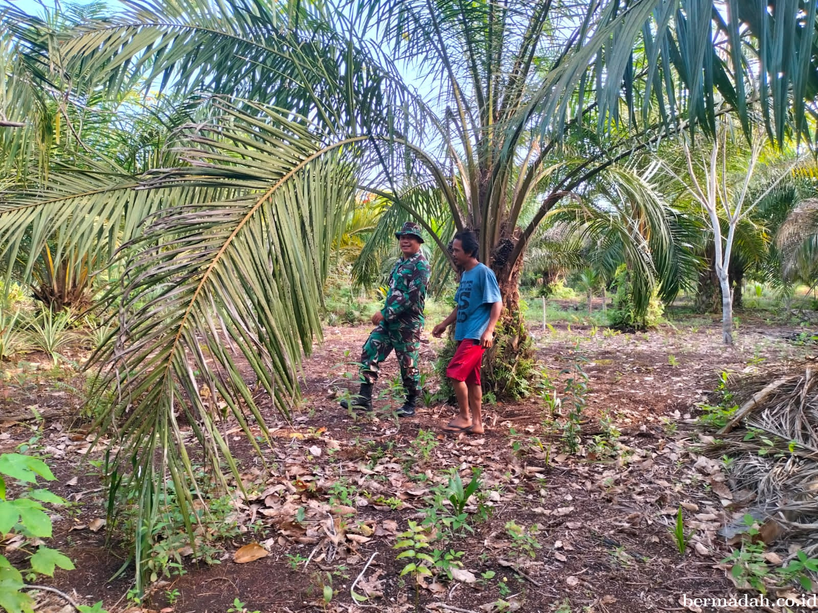 Penanggulangan Karhutla di Wilayah Koramil 02/Sungai Apit Sabtu 8 Februari