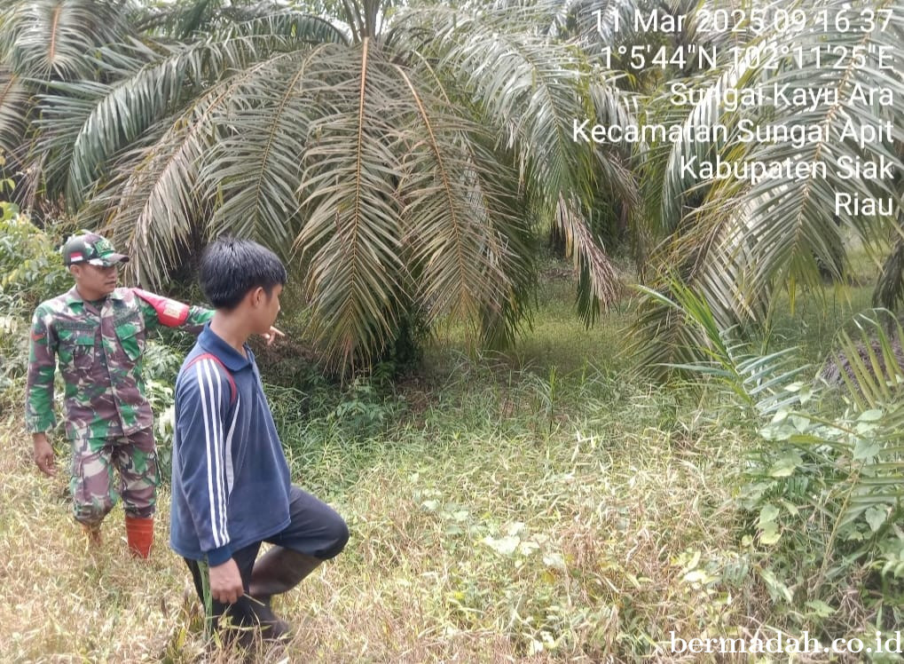 Penanggulangan Karhutla di Wilayah Koramil 02/Sungai Apit, Selasa 11 Maret