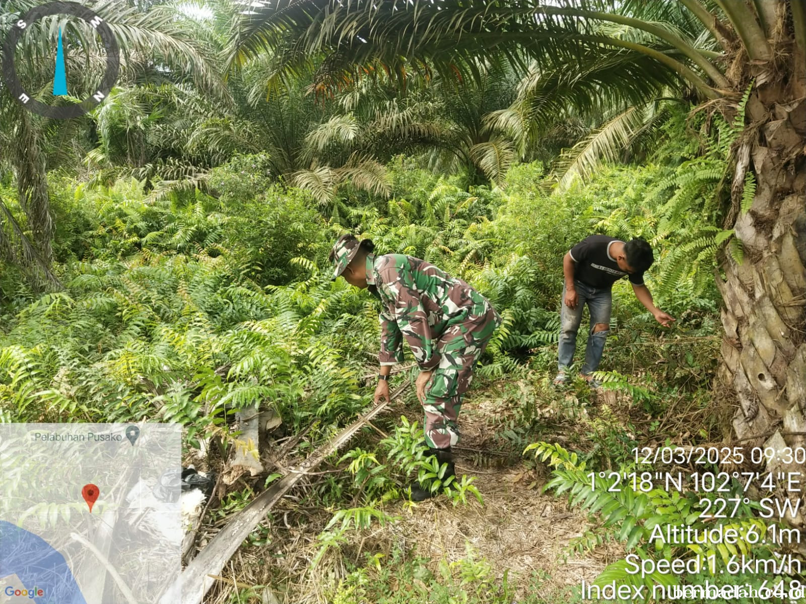 Penanggulangan Karhutla di Wilayah Koramil 02/Sungai Apit Rabu 12 Maret