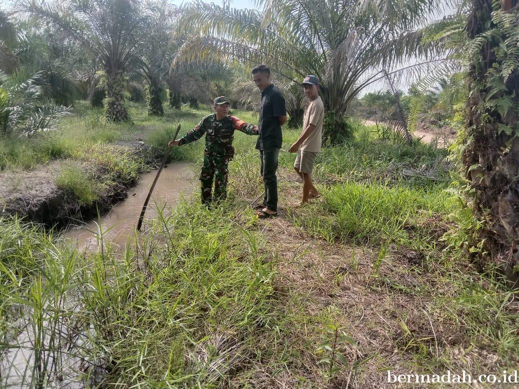 Sertu Ariyanto Awasi Ketat Karhutla di Benteng Hulu Jaga Mempura Tetap Aman dari Ancaman Kebakaran