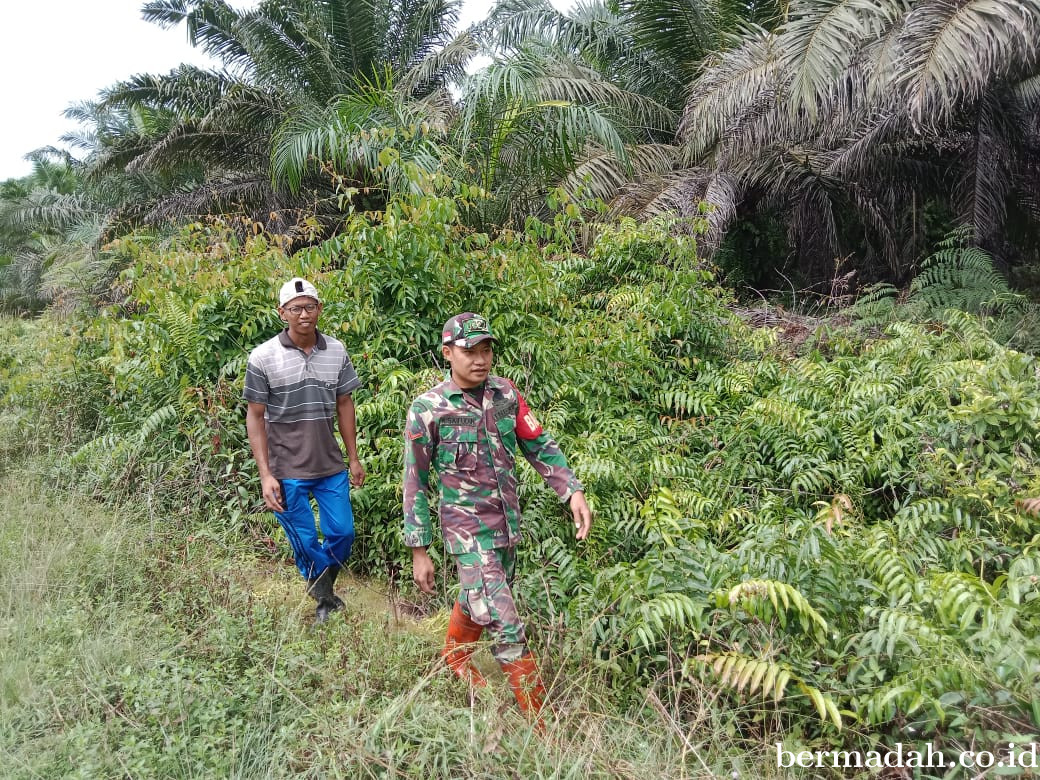 Penanggulangan Karhutla di Wilayah Koramil 02/Sungai Apit, Sabtu 22 Maret