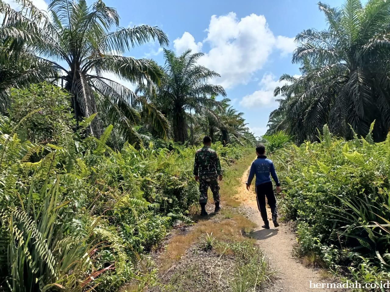 Penanggulangan Karhutla di Wilayah Koramil 02/Sungai Apit Selasa 25 Maret