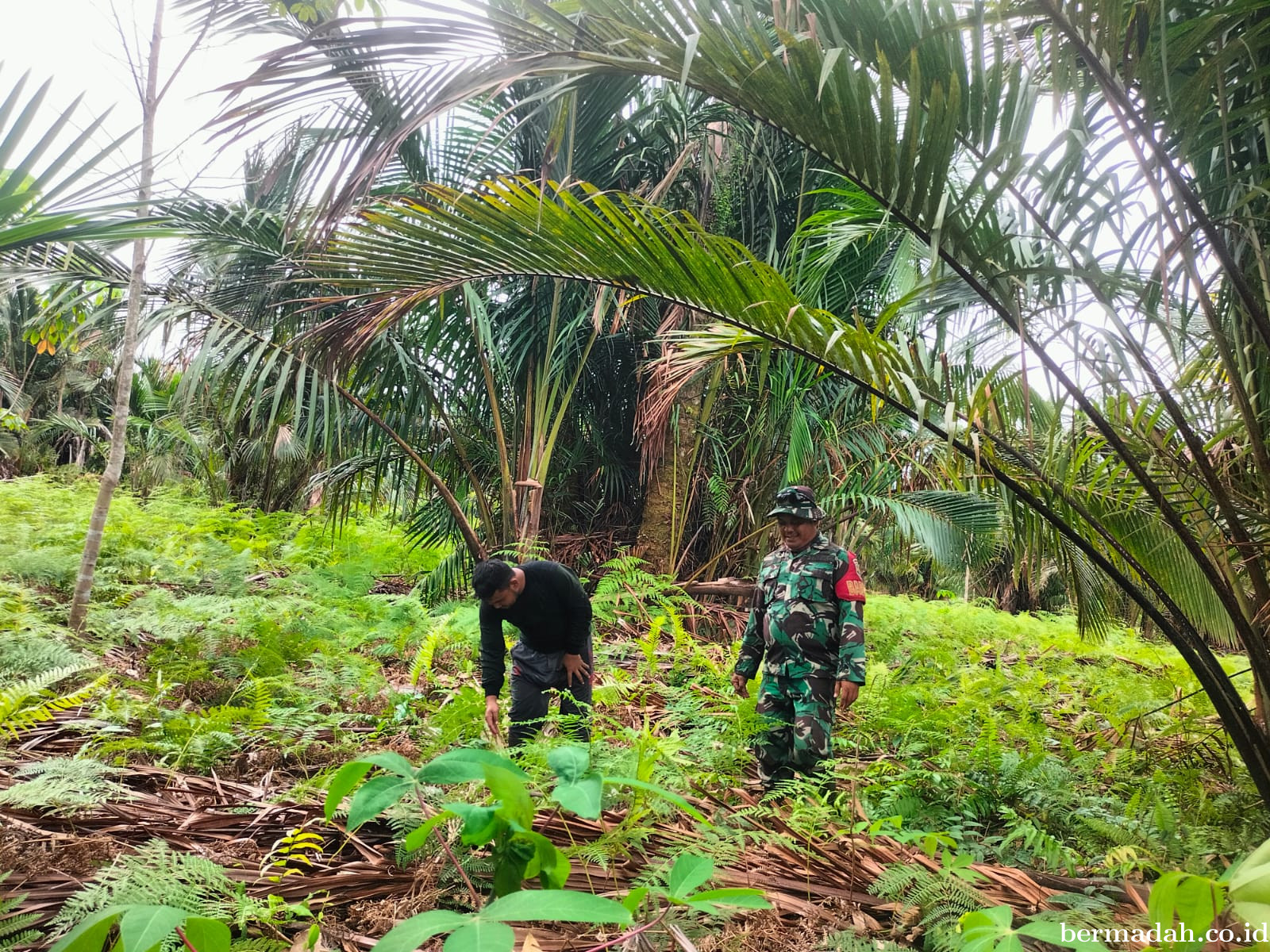 Penanggulangan Karhutla di Wilayah Koramil 02/Sungai Apit Kamis 27 Maret