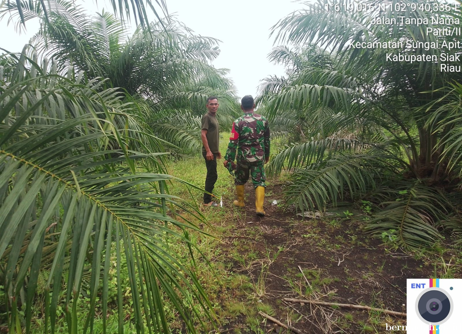 Penanggulangan Karhutla di Wilayah Koramil 02/Sungai Apit, Minggu 30 Maret