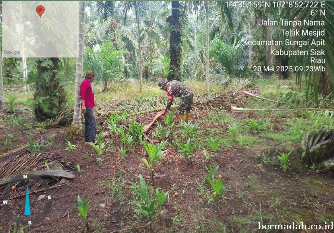 Penanggulangan Karhutla di Wilayah Koramil 02/Sungai Apit, Selasa 20 Mei