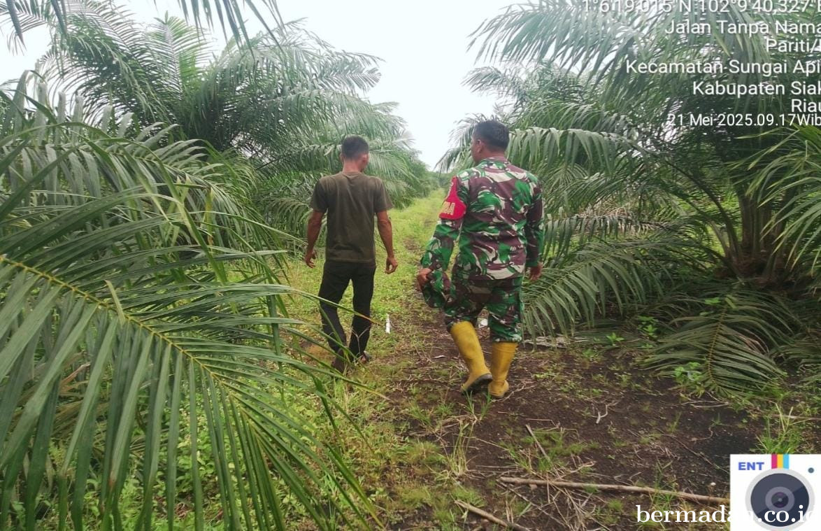 Penanggulangan Karhutla di Wilayah Koramil 02/Sungai Apit, Rabu 21 Mei