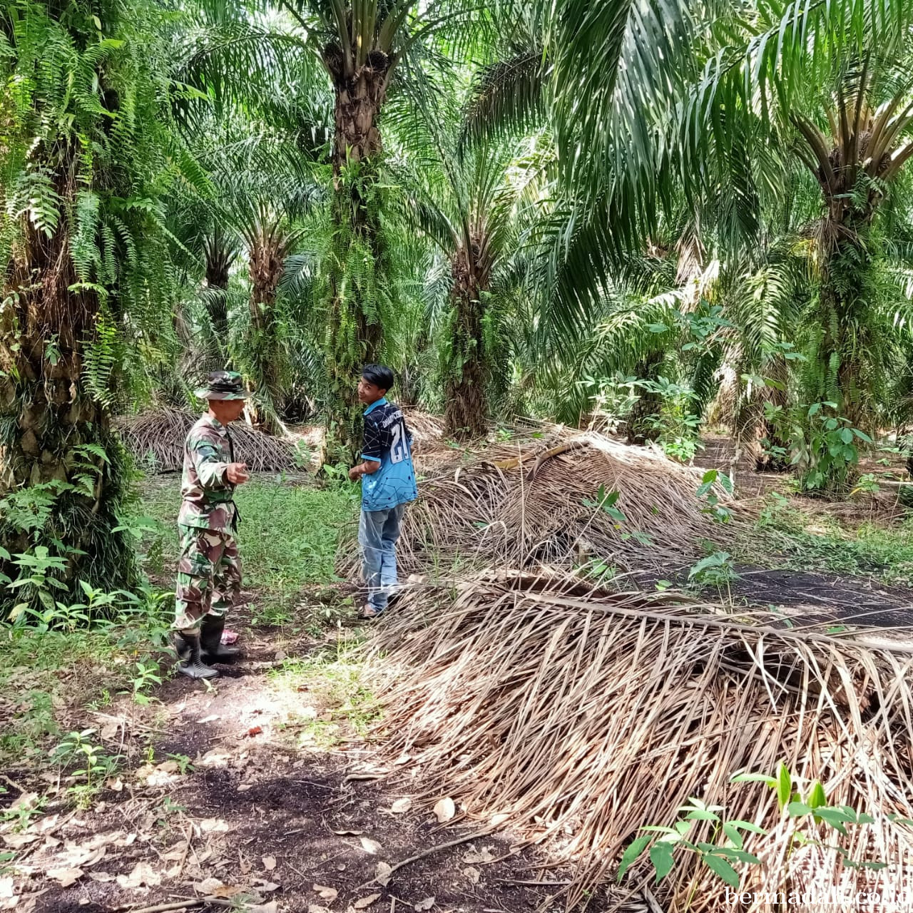Penanggulangan Karhutla di Wilayah Koramil 02/Sungai Apit, Kamis 22 Mei