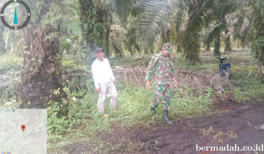 Penanggulangan Karhutla di Wilayah Koramil 02/Sungai Apit, Jumat 23 Mei
