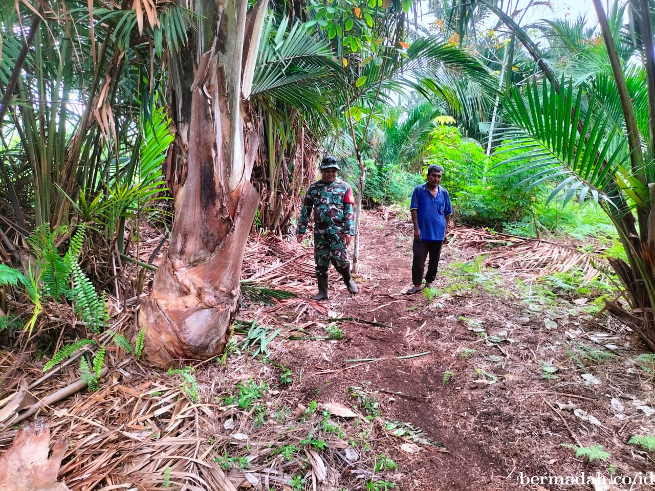 Penanggulangan Karhutla di Wilayah Koramil 02/Sungai Apit, Sabtu 24 Mei
