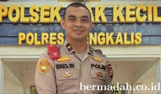Kapolsek Siak Kecil Bantah Isu Keterlibatan Oknum Penegak Hukum Backup Ilegal Logging
