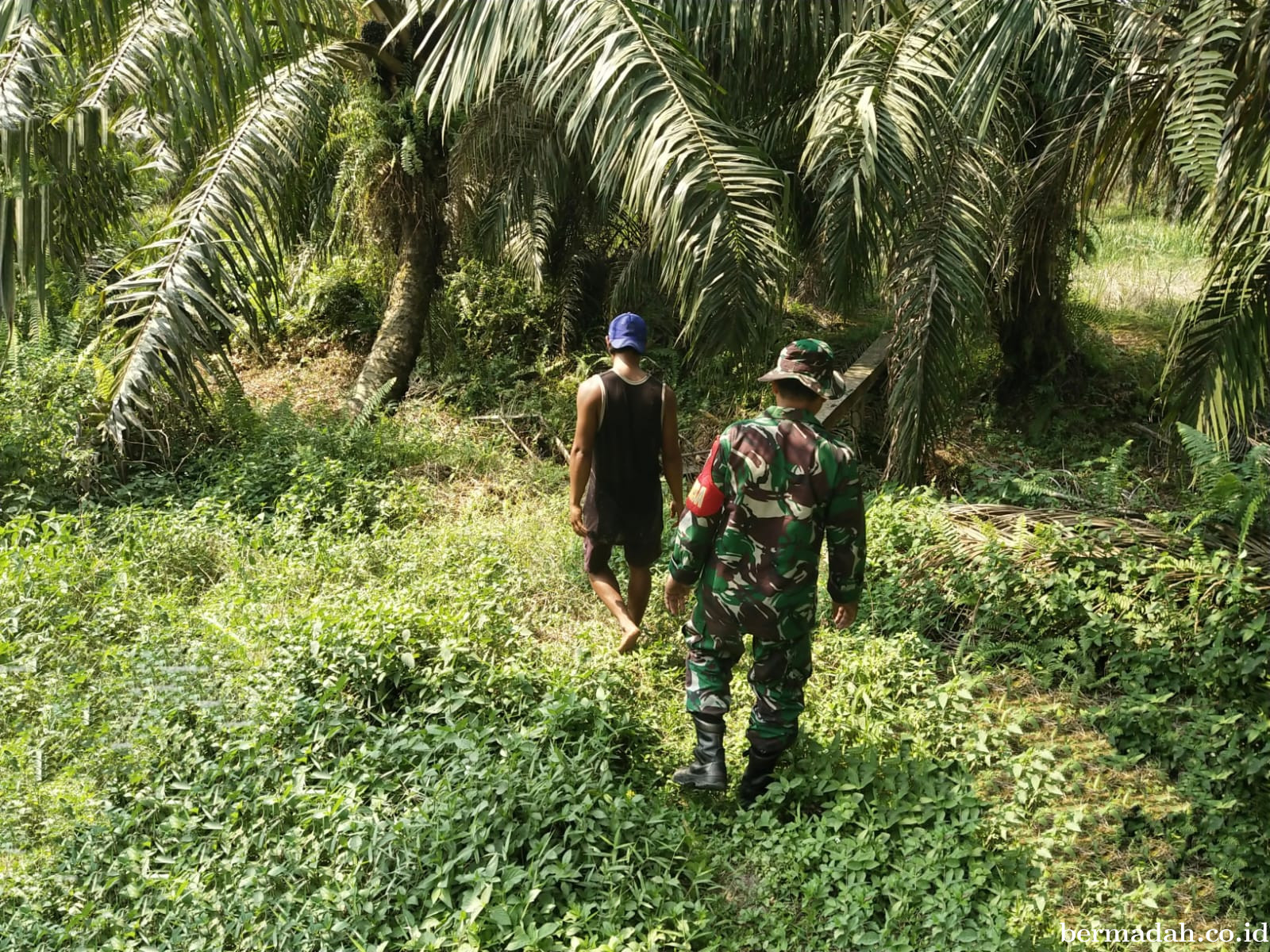 Penanggulangan Karhutla di Wilayah Koramil 02/Sungai Apit Kamis 29 Mei