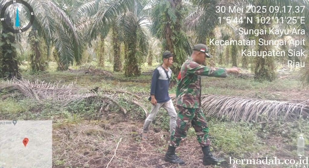 Penanggulangan Karhutla di Wilayah Koramil 02/Sungai Apit, Jumat 30 Mei