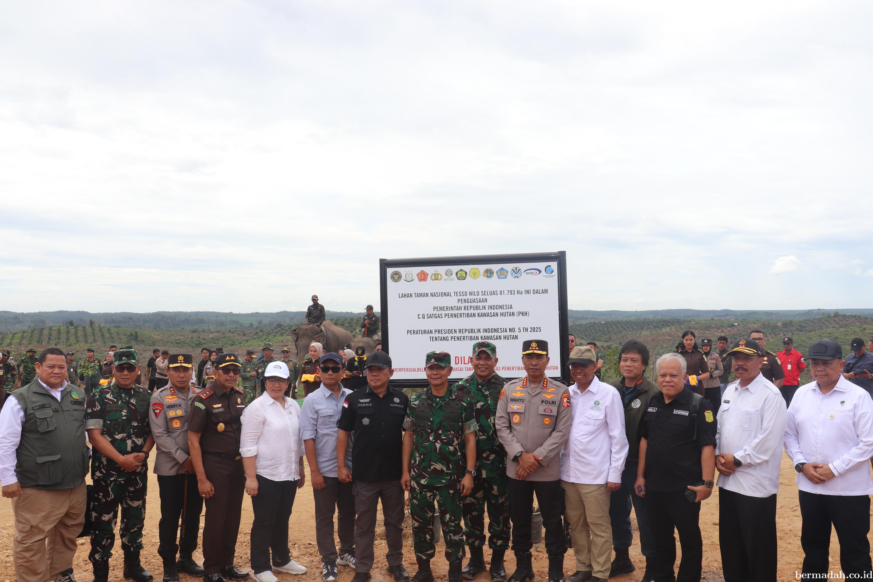 Satgas PKH Turun ke TNTN, Tertibkan 81 Ribu Hektare Kawasan Hutan Negara
