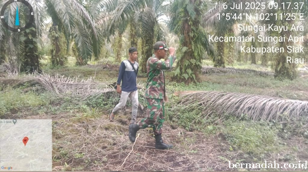 Penanggulangan Karhutla di Wilayah Koramil 02/Sungai Apit, Minggu 6 Juli