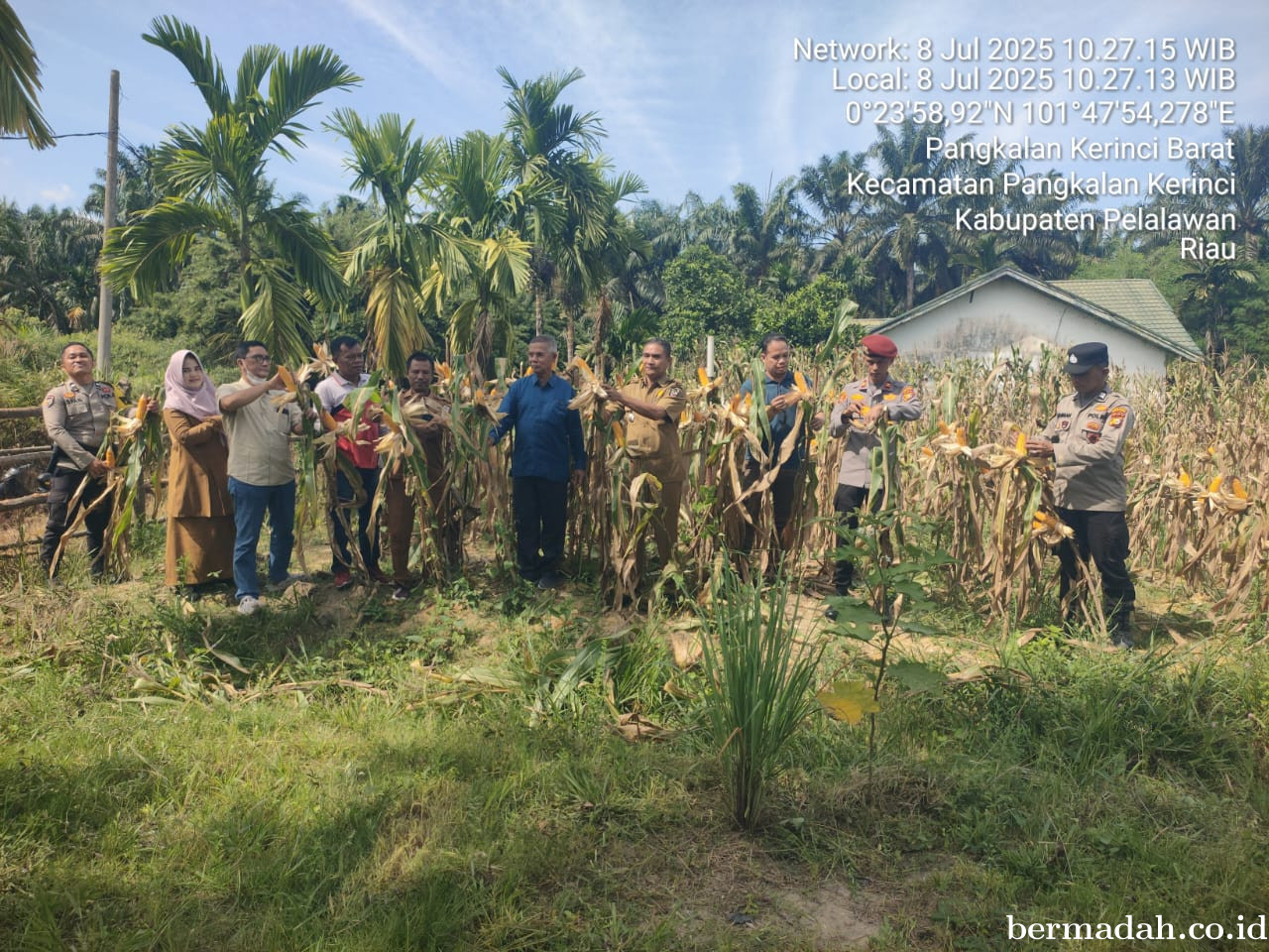 Polsek Bandar Sei Kijang & PT JPSK Panen Jagung Pipil
