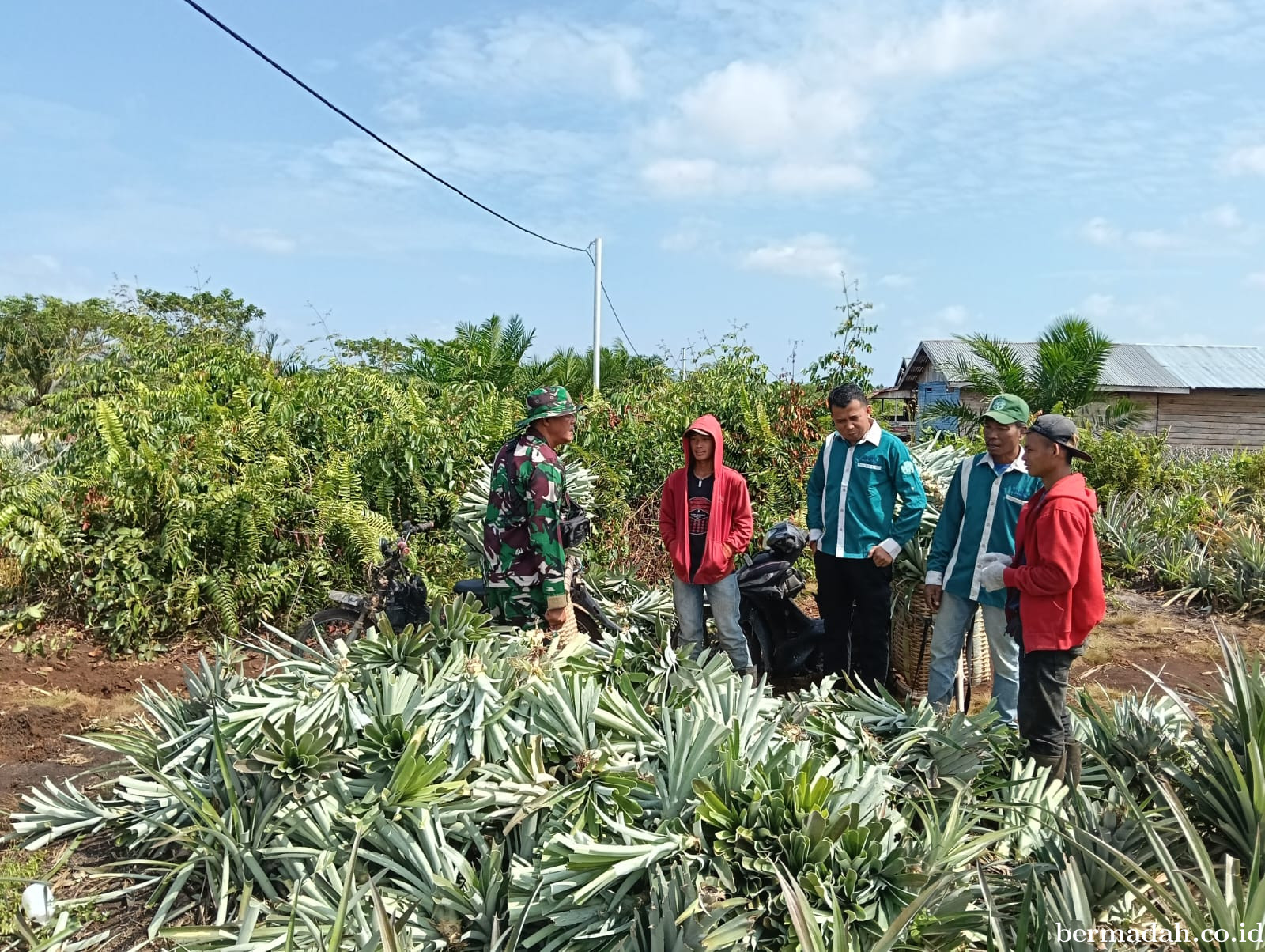 Penanggulangan Karhutla di Wilayah Koramil 02/Sungai Apit, Rabu 9 Juli