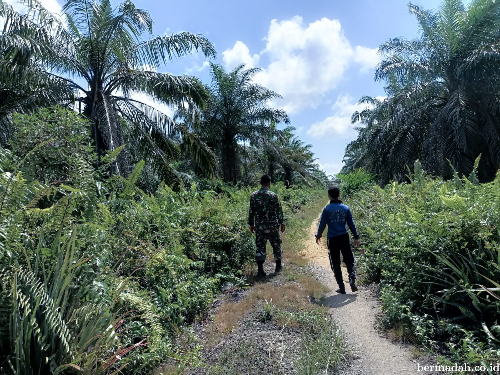 Penanggulangan Karhutla di Wilayah Koramil 02/Sungai Apit Sabtu 13 September