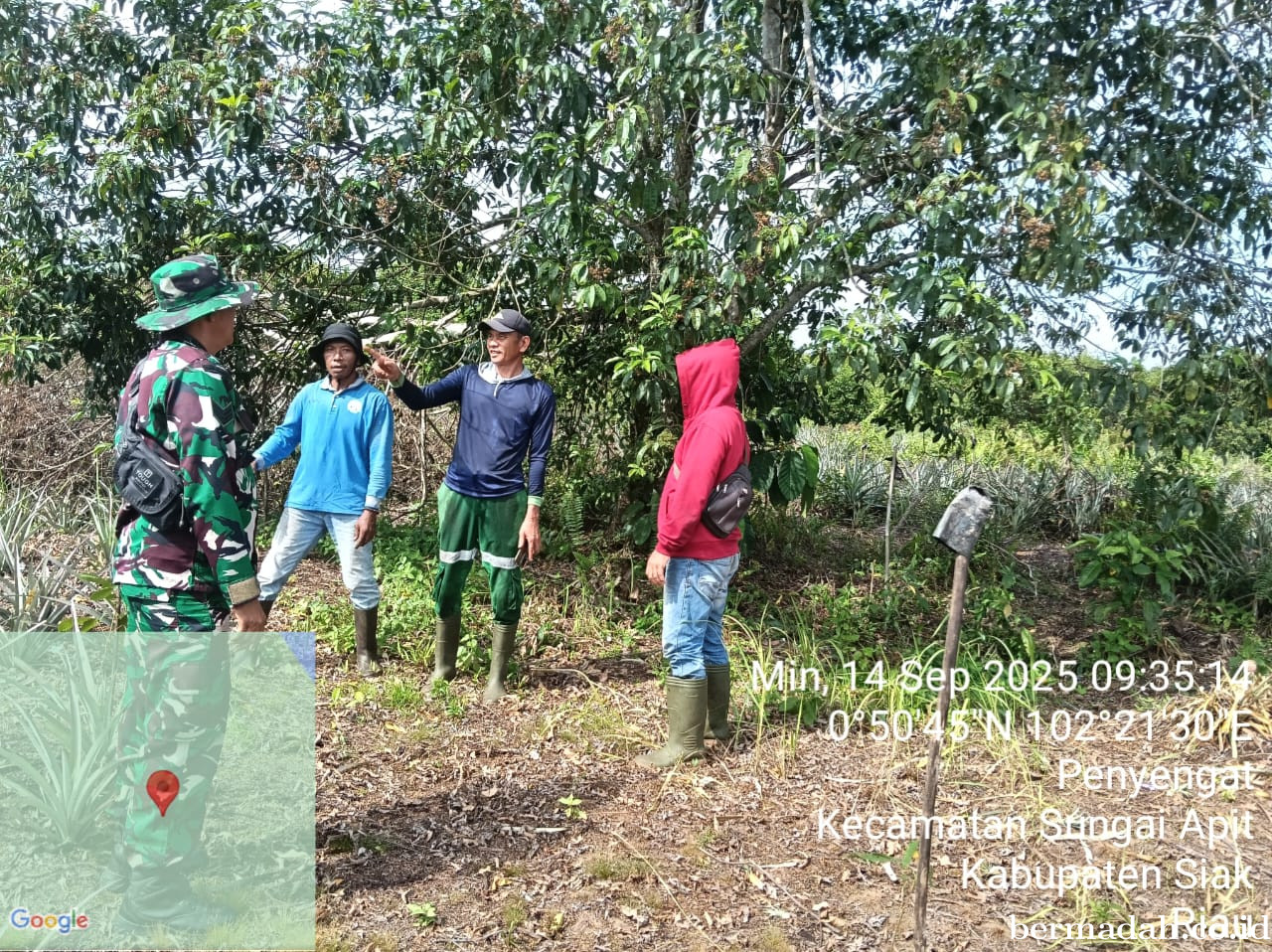 Penanggulangan Karhutla di Wilayah Koramil 02/Sungai Apit, Minggu 14 September