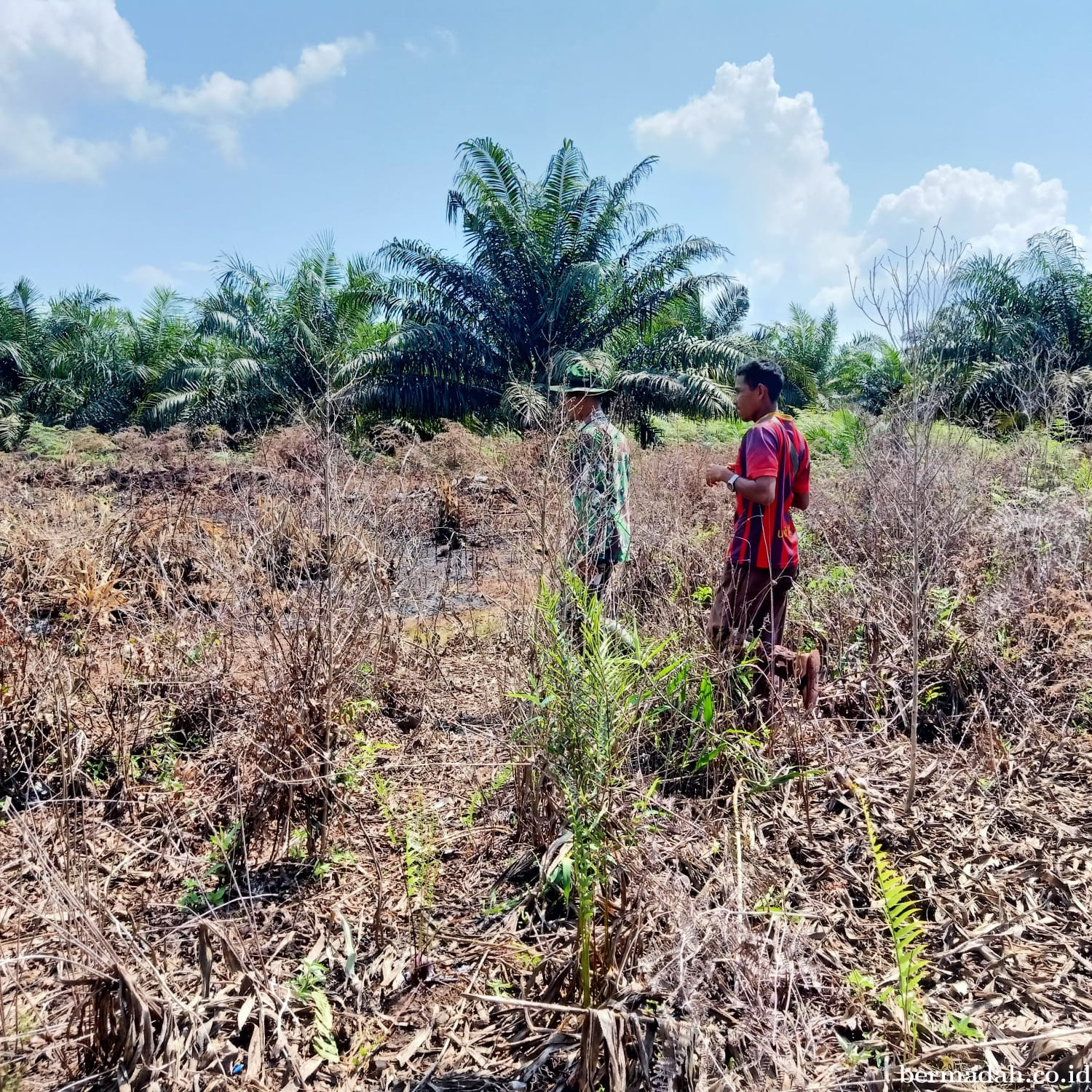 Penanggulangan Karhutla di Wilayah Koramil 02/Sungai Apit, Minggu 21 September