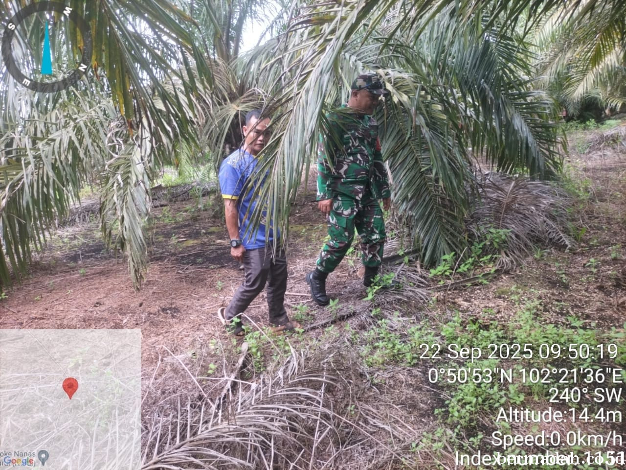 Penanggulangan Karhutla di Wilayah Koramil 02/Sungai Apit Senin 22 September