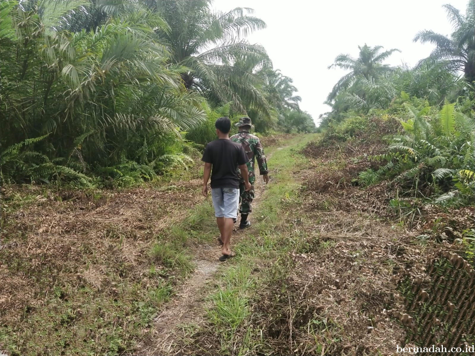 Penanggulangan Karhutla di Wilayah Koramil 02/Sungai Apit Rabu 24 September