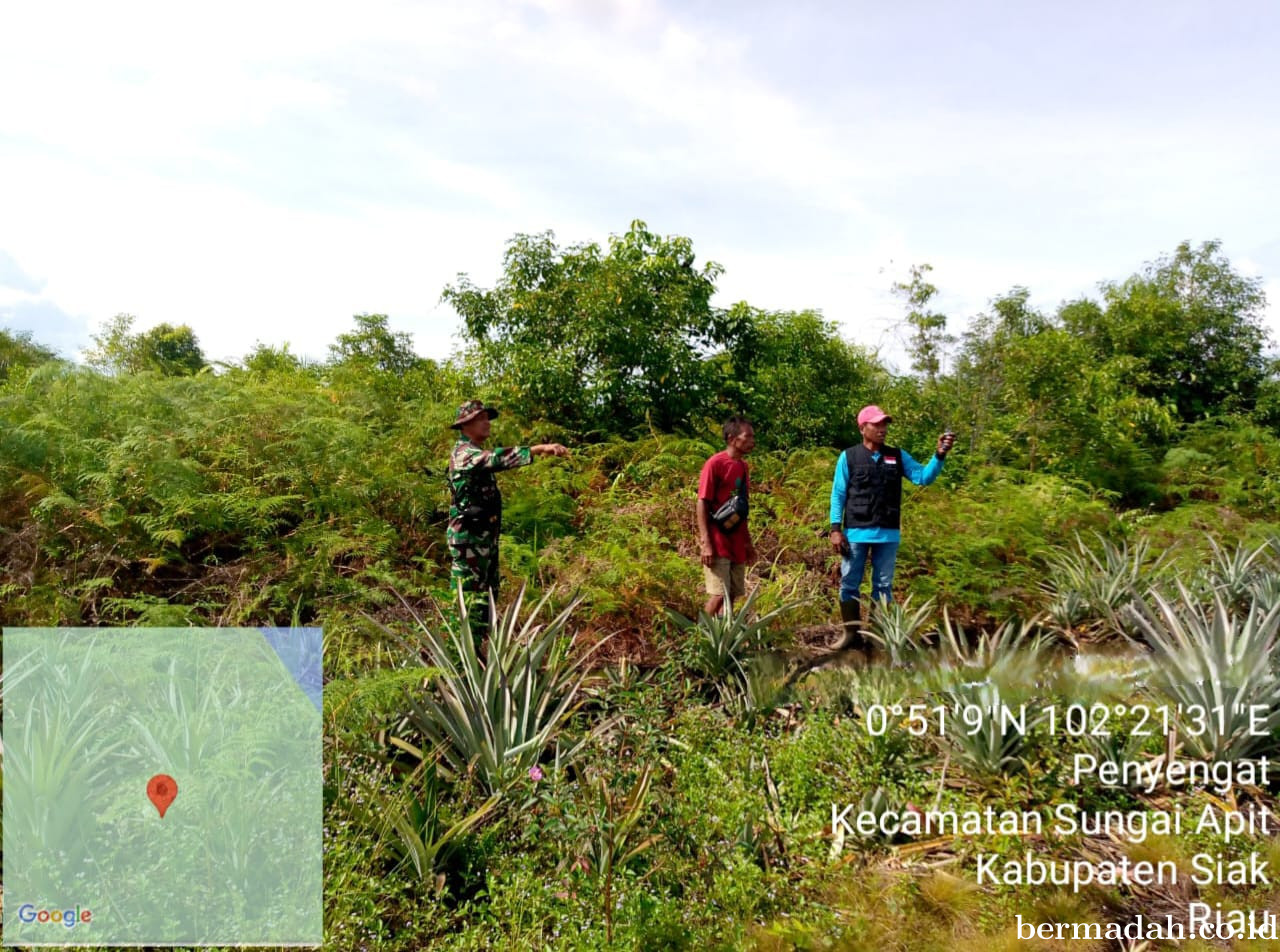 Penanggulangan Karhutla di Wilayah Koramil 02/Sungai Apit, Sabtu 16 November