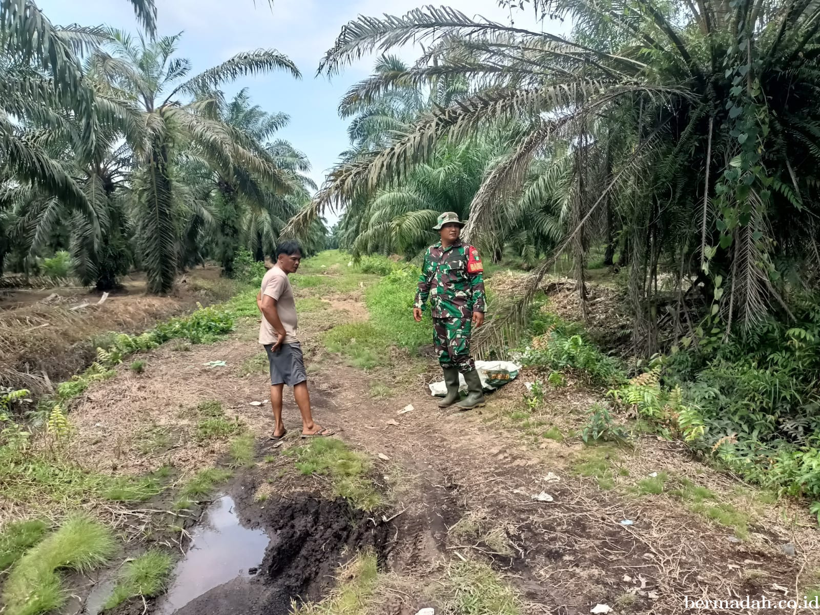Penanggulangan Karhutla di Wilayah Koramil 02/Sungai Apit, Rabu 19 November