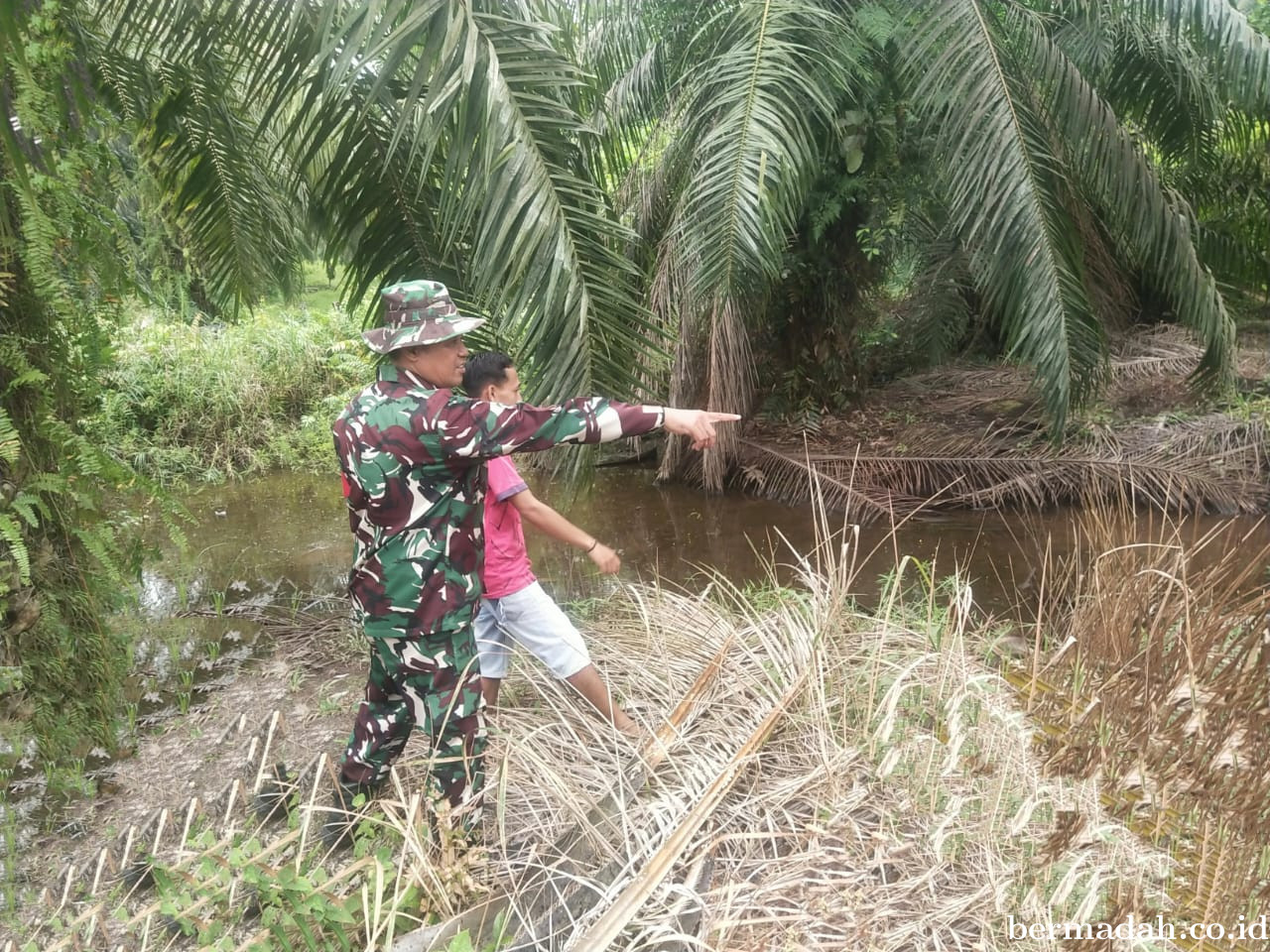 Penanggulangan Karhutla di Wilayah Koramil 02/Sungai Apit Jumat 21 November