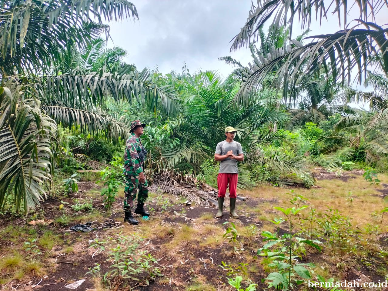 Penanggulangan Karhutla di Wilayah Koramil 02/Sungai Apit Minggu 23 November