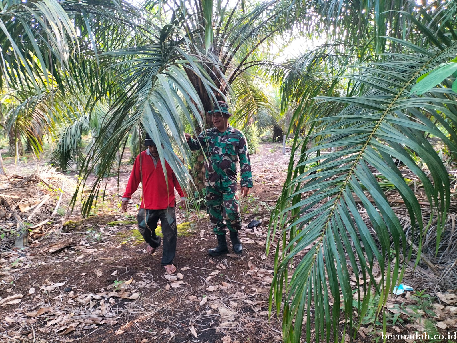 Penanggulangan Karhutla di Wilayah Koramil 02/Sungai Apit Selasa 3 Desember